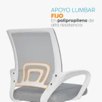 Silla de oficina Atlantis Eco con espaldar en malla y diseño ergonómico para oficina o home office