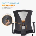 Silla de oficina ergonómica Niza con apoyo lumbar y espaldar en malla para oficinas modernas.